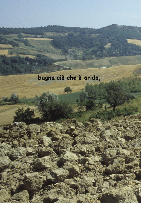 bagna cio' che e' arido,