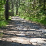 La spiritualità della strada